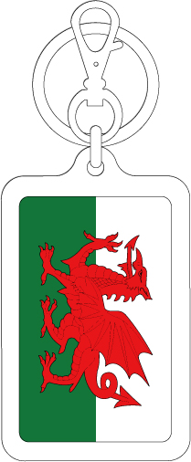 【選べるカラー】KSK374 ウェールズ WALES 国旗キーホルダー 旅行 スーツケース