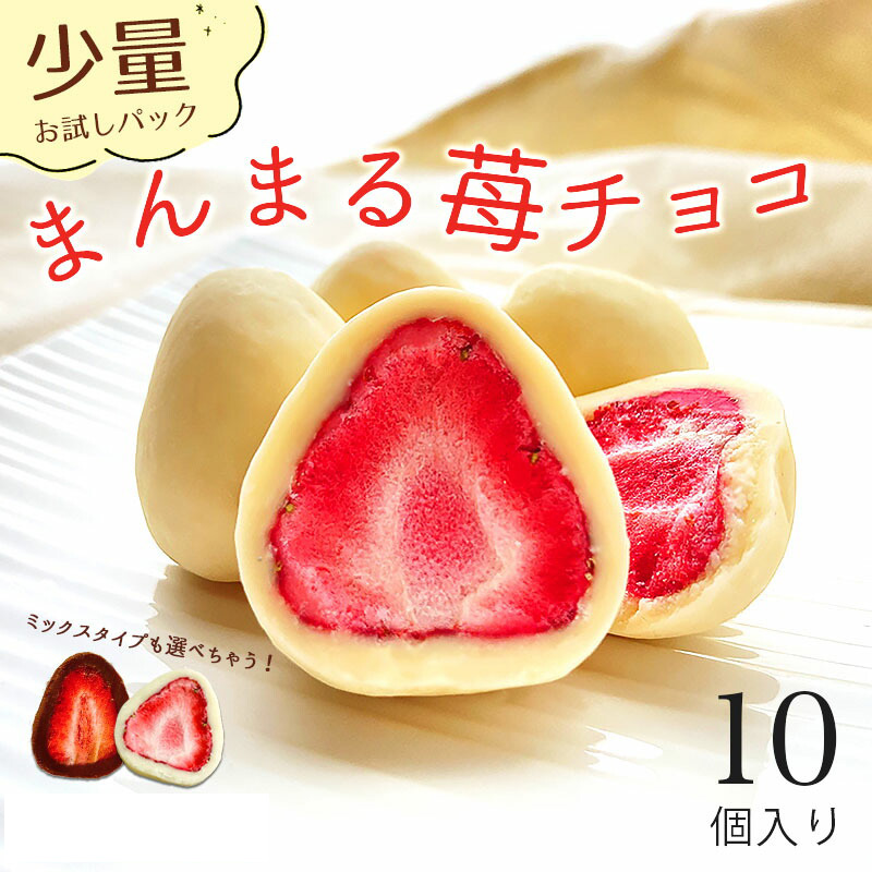 【お試し】個装 日本産 インスタ話題 苺チョコ いちご 100g クリスマス ギフト お菓子 チョコレート