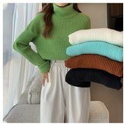初秋コーデにオススメ 暖かい 厚手 ニットトップス スリム 長袖 トップス シンプル タートルネック