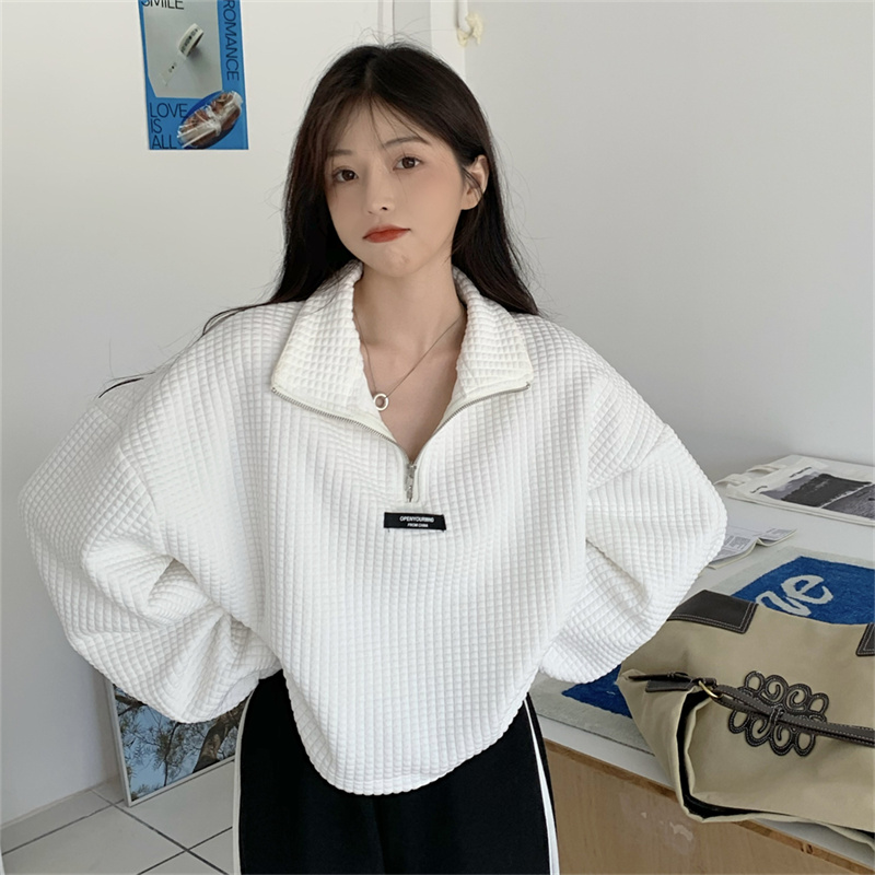 韓国風 長袖 折り襟 プルオーバー チャック トップス | 卸売・ 問屋 