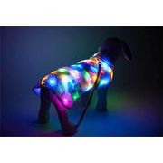 早い者勝ち 犬 コート 夜 LED カラフルなライトショー ペット 照明 服 暖かい ファッション