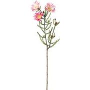 【造花】バーゼリアスプレー　ピンク　ＦＡ－７３７４Ｐ