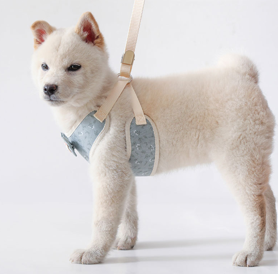 犬服 ハーネス リードセット 犬用 猫用 簡単 散歩 お出かけ ペット用品 ハーネス リード 2点セット 反射材
