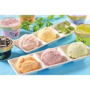 乳蔵アイスクリーム5種16個 110035（送料無料）【直送品】