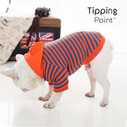 ペット服犬服春と夏の新しい子犬フランスの戦いポメラニアンクマテディ服春の縞模様のセーター
