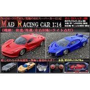 RC MAD RACING CAR １：１４ (マッド レーシング カー)