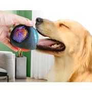 運動 ペット用品 シミュレーションシューズ 犬おもちゃ 玩具 おもちゃのボール ストレス解消 歯健