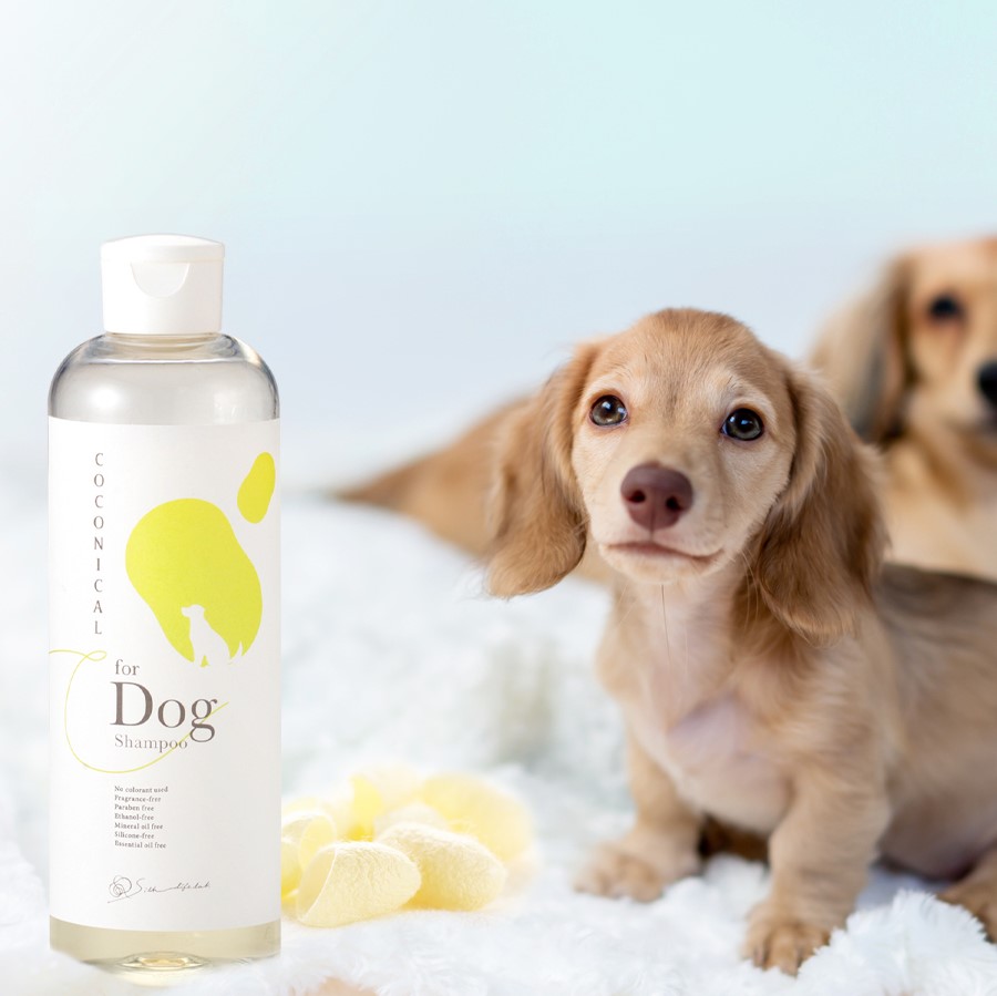 愛犬と飼い主の肌に優しい、みどり繭シルク配合の低刺激 ◆COCONICAL for Dogシャンプー