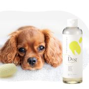 愛犬と飼い主の肌に優しい、国産シルク配合の低刺激 ◆COCONICAL for Dogシャンプー