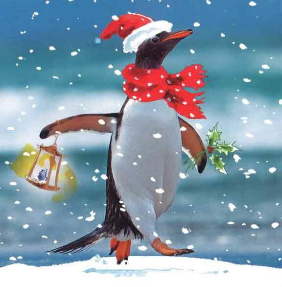 グリーティングカード クリスマス「クリスマスのペンギン」メッセージカード