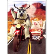 グリーティングカード 誕生日/バースデー ゴグリーズ目玉カード「シロクマとブタ」動物 カラー写真