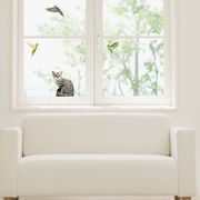 ウィンドウステッカーM（ステッカータイプ）「猫とインコ」窓ガラス 透明シート 鳥