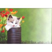 絵封筒 (同柄5枚セット) 156×108mm レターバレンタイン 花 猫