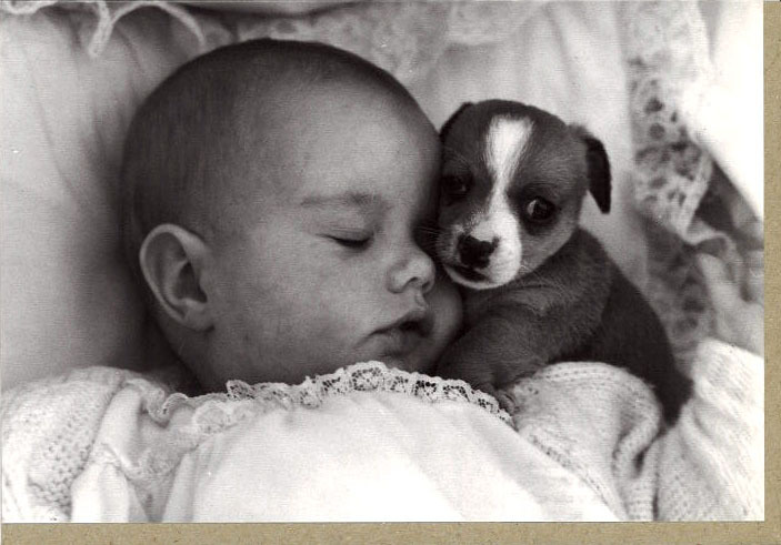 グリーティングカード 多目的 モノクロ写真「赤ちゃんと子犬」フォト 子ども