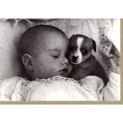 グリーティングカード 多目的 モノクロ写真「赤ちゃんと子犬」フォト 子ども