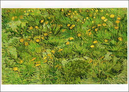 ポストカード アート ゴッホ「黄色の花畑」名画 郵便はがき