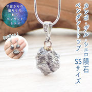 【19】カンポデルシエロ 隕石 ペンダントトップ SSサイズ 1個 【形が選べる！】アカネ