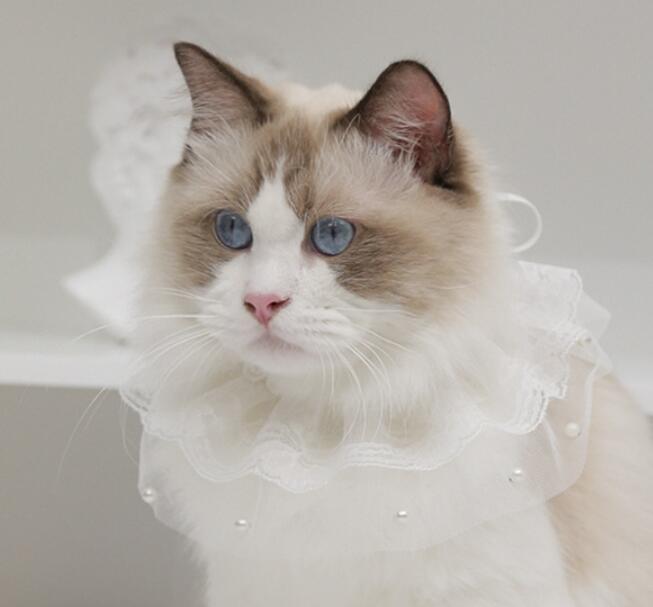 ペット アクセサリー☆猫☆犬用のネックレス☆ペット用の首輪