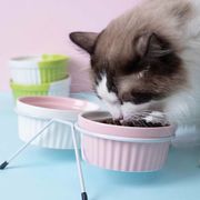 【秋冬新作】 ペット用小皿 丸皿 プレート 猫柄 ネコ柄 食器 犬猫兼用