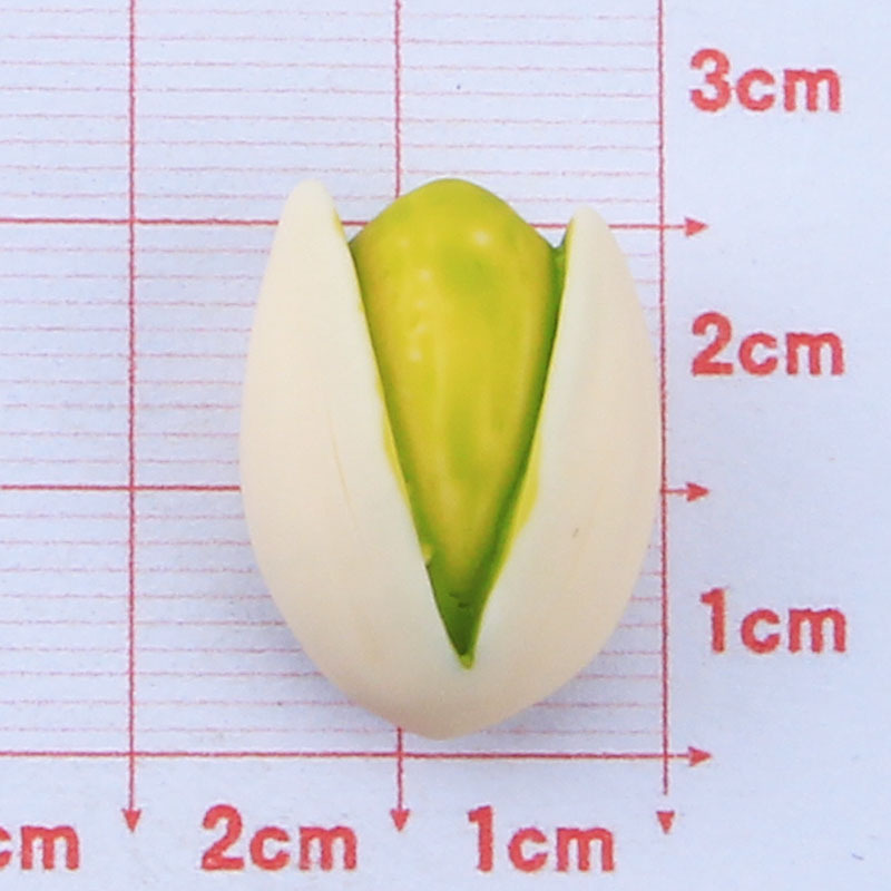 Avocado Seedネックレス ーkinokoー - ネックレス・ペンダント