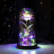 照明 薔薇 ガラスドーム LED 3D オブジェ 雑貨 玄関 インテリア