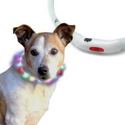 光る 首輪 led レインボー ペット LEDライト 猫 USB充電式 小型犬 中型犬 大型犬 35cm 50cm 夜間発光首輪