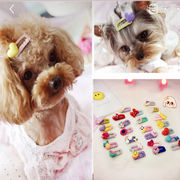 韓国　新作　 犬　ペット 猫　ペット用品　ネコ雑貨　犬 ヘアアクセサリー　ヘアクリップ　