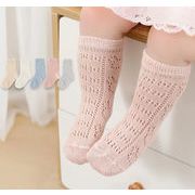 2026 人気新作    子供靴下  韓国風子供服 ベビー靴  ベビー用    ソックス    5色