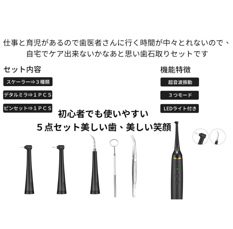 口腔洗浄器 音波 歯石取り 超音波 自分 歯石 除去 電動 口臭 歯 ヤニ