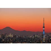 ポストカード カラー写真 日本風景シリーズ「夕焼けの東京と富士山」105×150mm 観光地 名所 郵便はがき