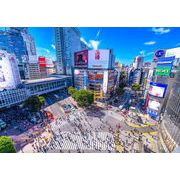 ポストカード カラー写真 日本風景シリーズ「渋谷のスクランブル交差点」105×150mm 東京 観光地 名所