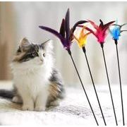 人気    おもちゃ  ペット用品  ねこ 猫棒をあやす   猫用 ネコ雑貨  超可愛い4色