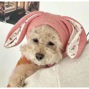 春夏新作  ペット用の帽子 ニット帽 可愛い 猫用 犬用 ペット用品  ファッション雑貨