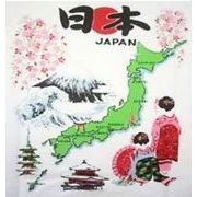 FJK 日本のTシャツ お土産 Tシャツ 地図 白 Mサイズ A-9-M