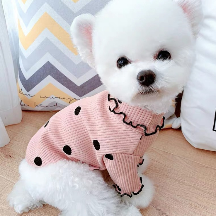秋冬 Tシャツ 猫服 可愛い ファッション 小中型犬服 犬猫洋服 ペット用品 ドッグウェア 猫雑貨 可愛い