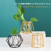 ガラス花瓶 透明 水耕 クリエイティブ 幾何学的 植木鉢 鉄製フレーム ポット