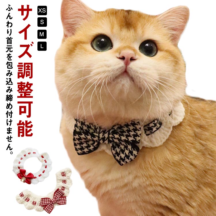 アンパスィ ねこデザインベスト 未使用 価格の安いサイベリアン♂ / ペットショップ【かねだい】