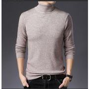 新しいデザイン、紳士服のセーター、プルオーバー、秋冬新品　メンズ韓国風