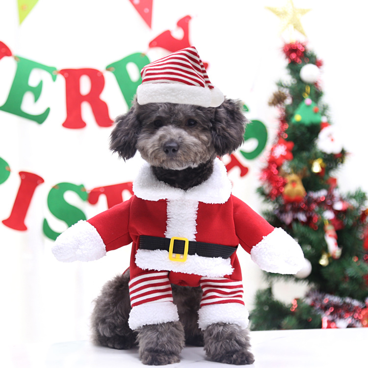 クリスマス 襟付き ニット カーディガン ツリー ビーズ かわいい 犬  サンタヒイラギ