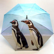 【雨傘】【長傘】ポンジー全面デジタルプリントペンギン柄ジャンプ雨傘