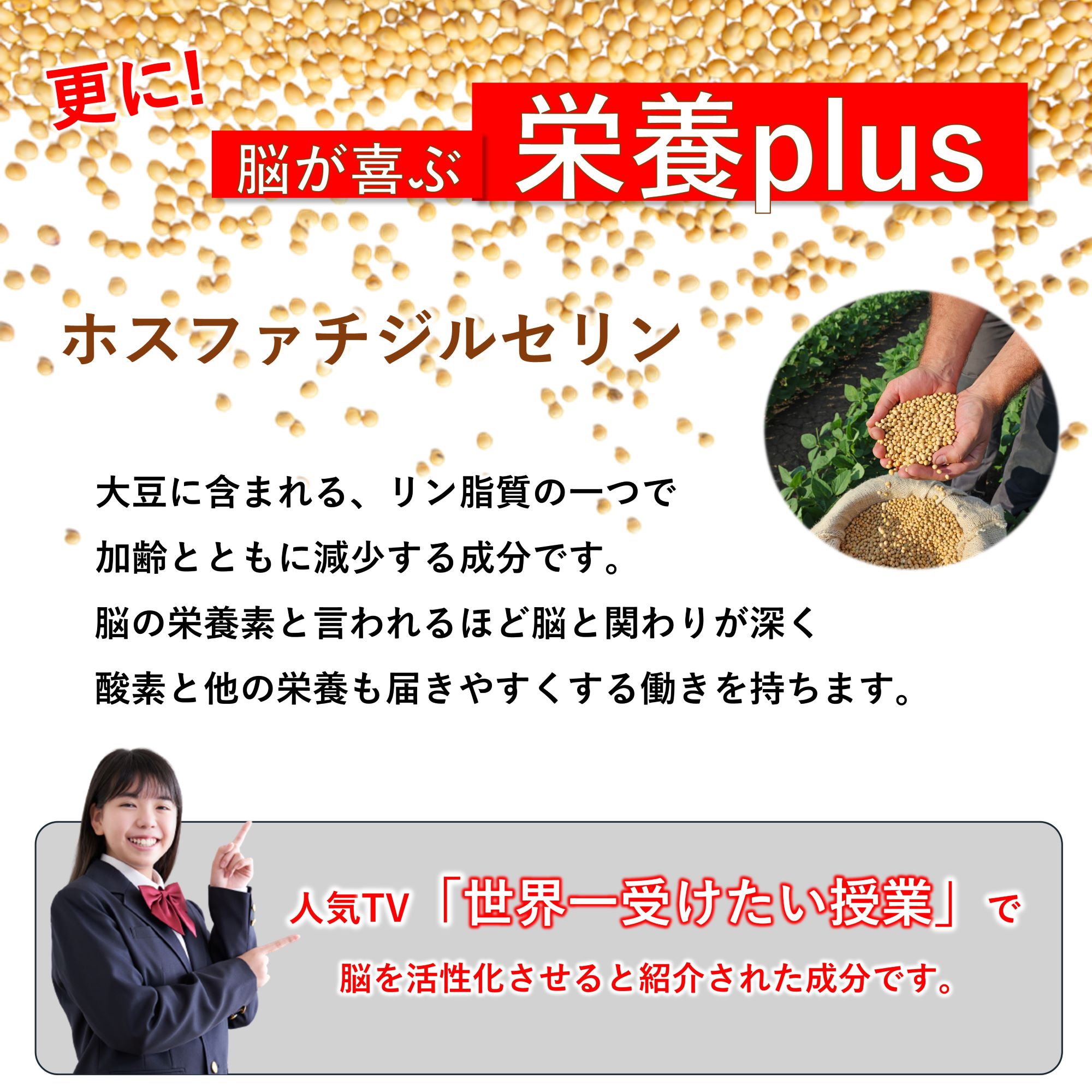 Nakachi様専用イチョウ葉200粒入5箱、αリポ酸5箱 Nakachi様専用イチョウ葉200粒入5箱、αリポ酸5箱