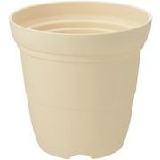 リッチェル ひよっこ ハイポット ６号 ベージュ