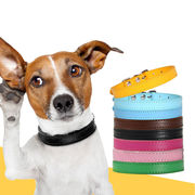 犬用首輪ペット用品新しい中型および大型犬用用品牽引ロープペット用首輪