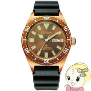 腕時計 プロマスター NY0125-08W メンズ ブラック シチズン Citizen