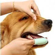 犬猫用口腔清掃用品  ペット  指歯ブラシ  犬歯ブラシ  口腔洗浄  猫歯ブラシ  ペット用品