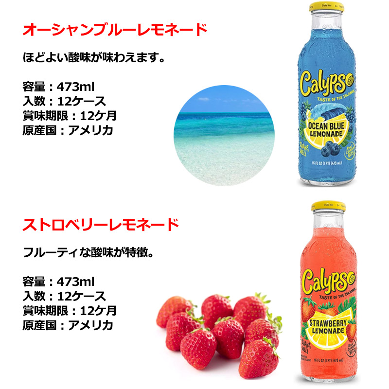 オーシャンブルーレモネード【60本】Calypso カリプソ レモネード 間食 夜食 ジュース レモン 株式会社 UNITED J's  問屋・仕入れ・卸・卸売の専門【仕入れならNETSEA】