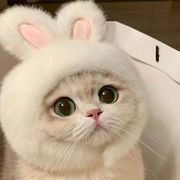 【2024春新作】 ペット 帽子 ウサギ耳付き 小型犬ペット ハット 可愛い 韓国風 ふわふわ
