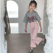 リボン  2024 春夏新作  韓国風子供服  ベビー服  トップス  Tシャツ or ロングパンツ