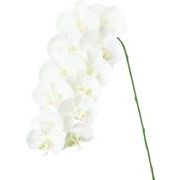 【造花】ブルームコチョウラン　ホワイトグリーン　FA-7454W/G