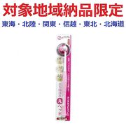 (対象地域納品限定)デンタルスピリットＥＸ　ピンク